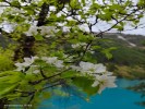 成都九寨黃龍雙動半自由5日游【2-8人小團(tuán)午去午回】旅拍升級版